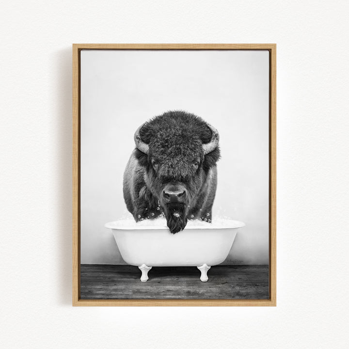 A black and white photograph of a buffalo standing in a bathtub filled with water.