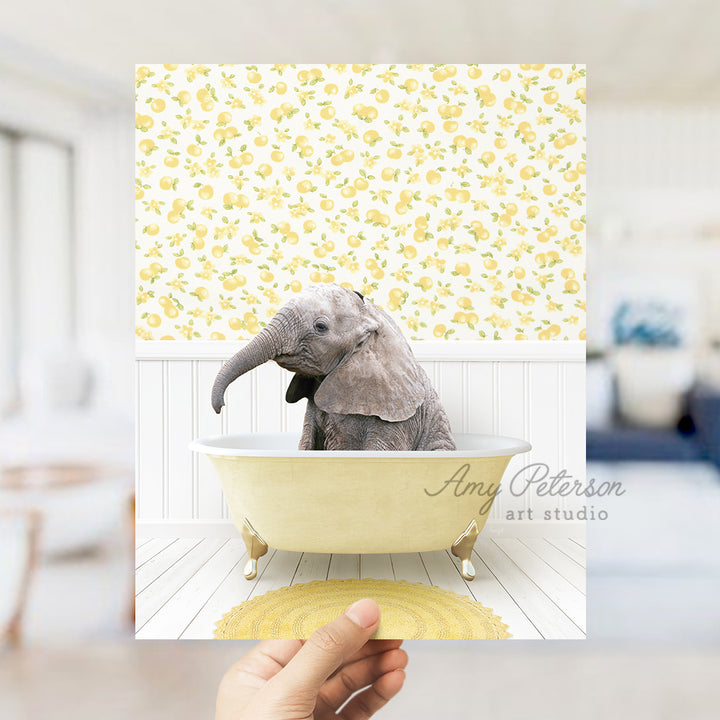 a person holding up a picture of an elephant in a bathtub