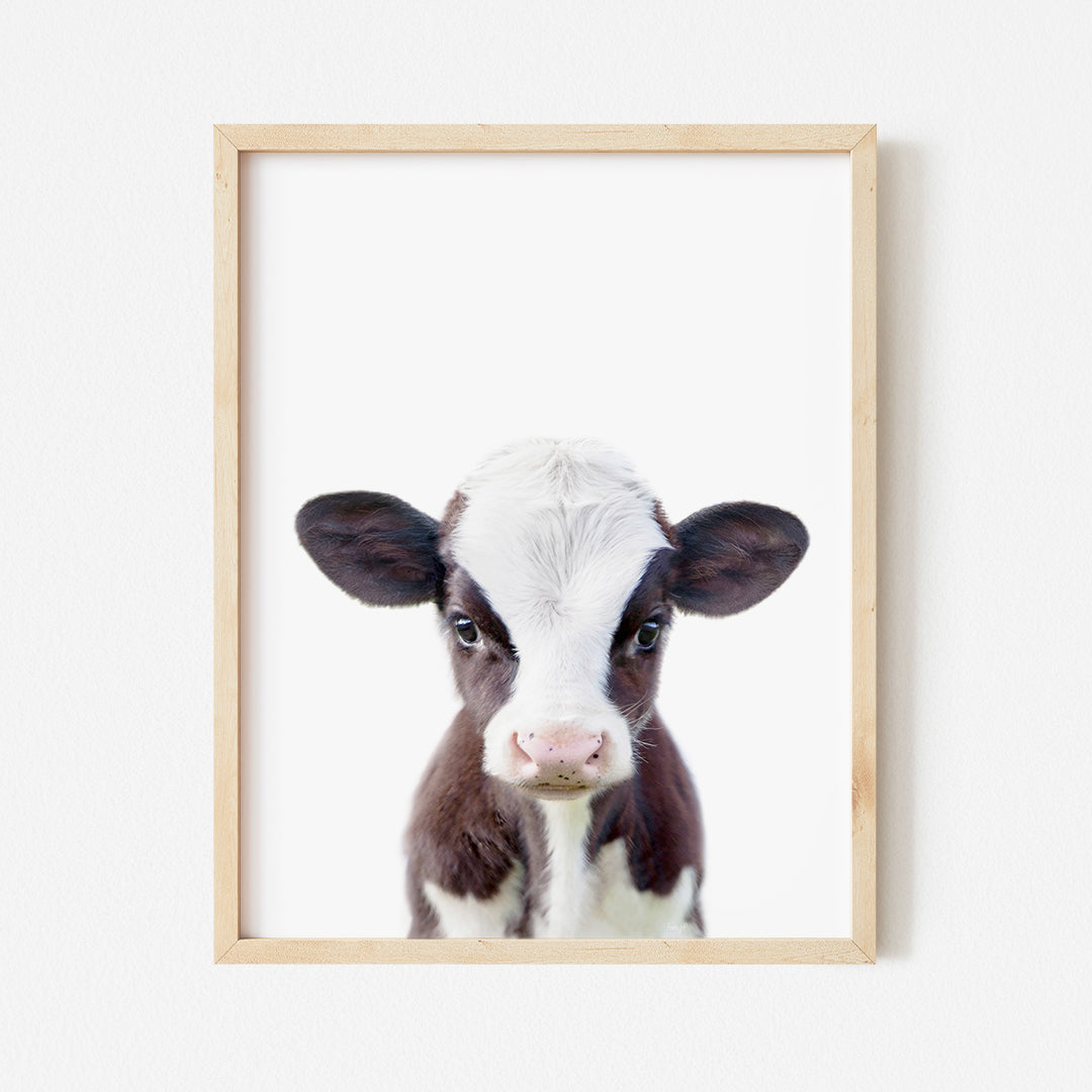 a picture of a brown and white cow in a frame