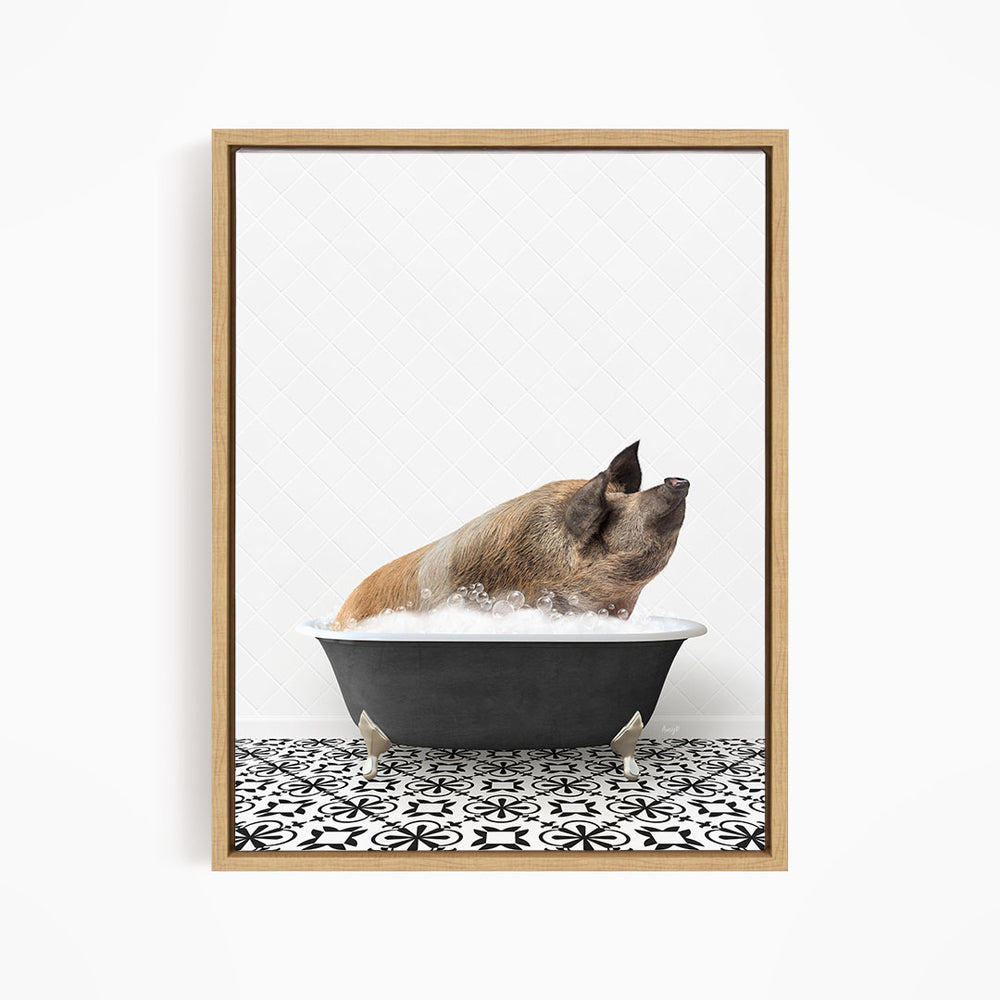 A pig sitting in a black bathtub filled with water, looking up at the camera.