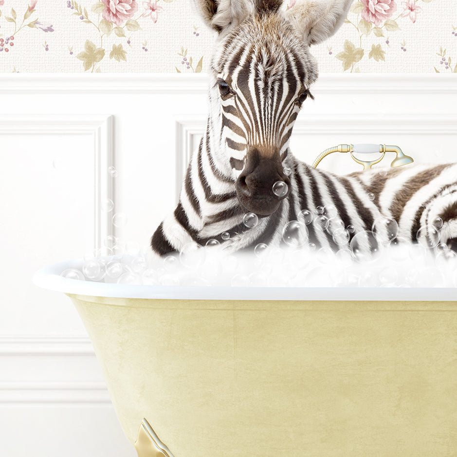 a baby zebra laying in a bath tub