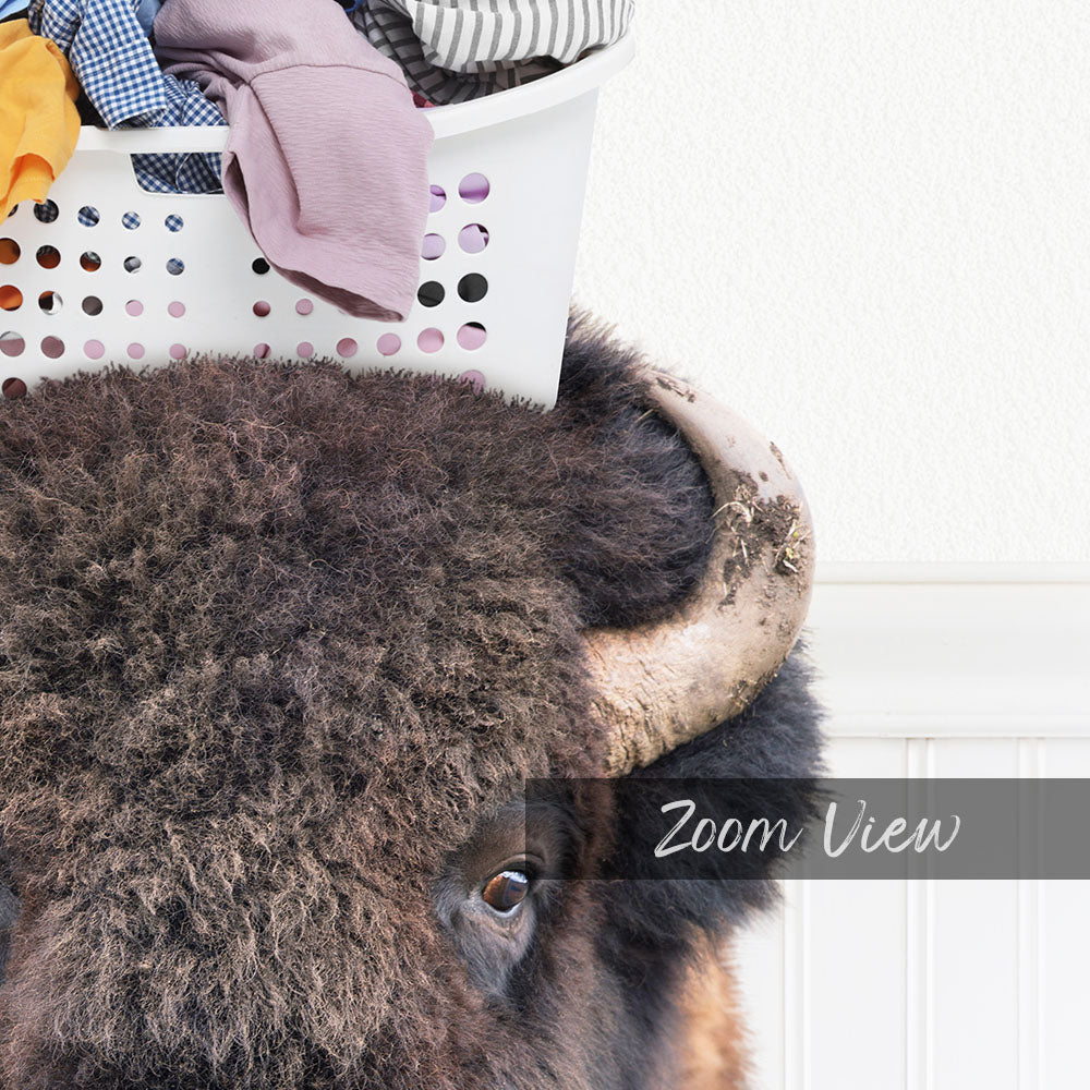 A close-up of a bison's head with a laundry basket on top of it, and the word "Zoom View" overlaid on the image.
