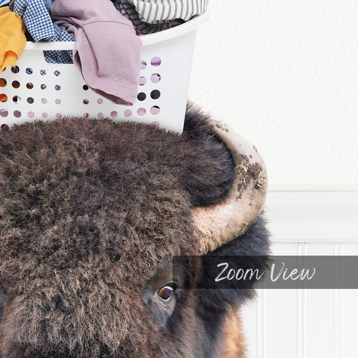 A close-up of a bison's head with a laundry basket on top of it, and the word "Zoom View" overlaid on the image.