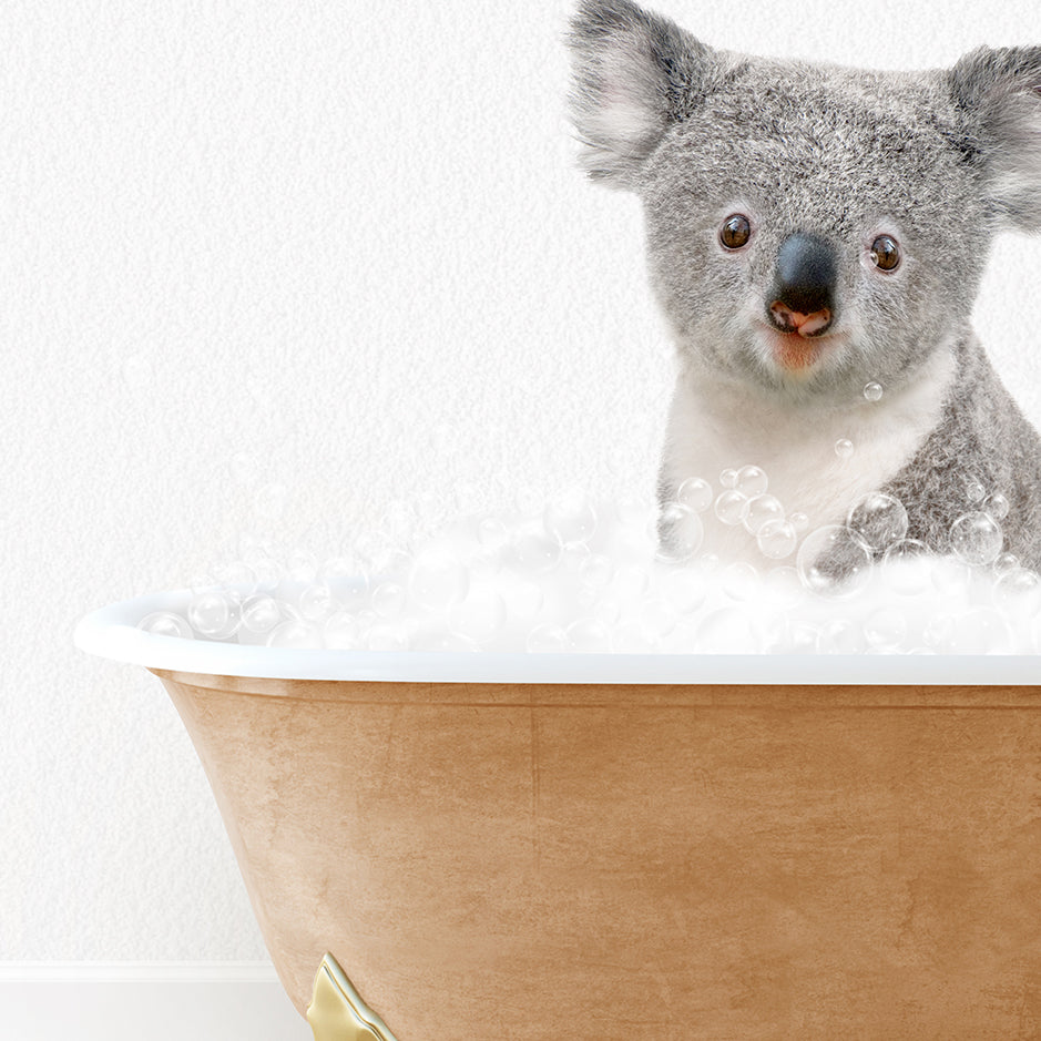 a koala in a bathtub with bubbles around it