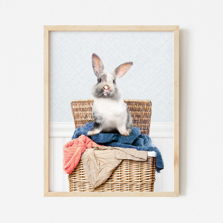 a picture of a rabbit sitting in a basket