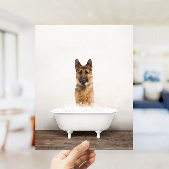A German Shepherd dog sitting in a white bathtub filled with water, with bubbles around it, and a hand holding the photo up to the camera.