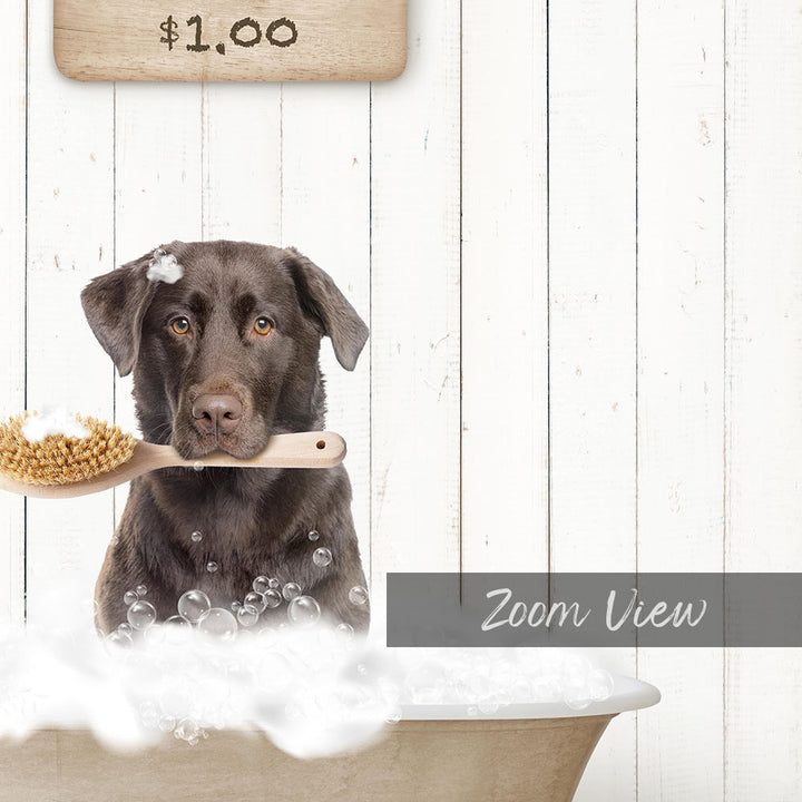 A black dog is sitting in a bathtub, holding a wooden brush in its mouth, with a sign above the bathtub displaying "$1.00".