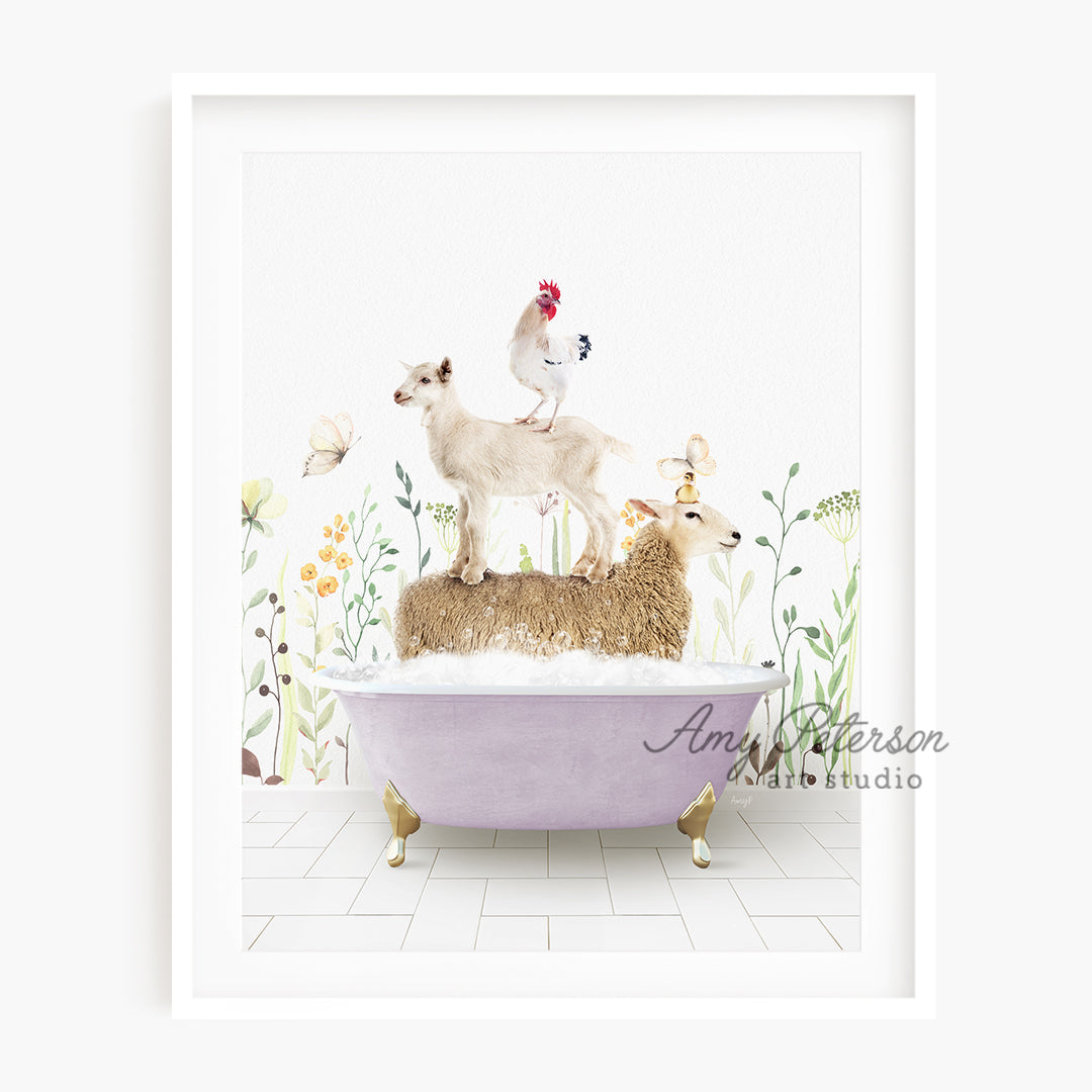 a picture of a chicken and sheep in a bathtub