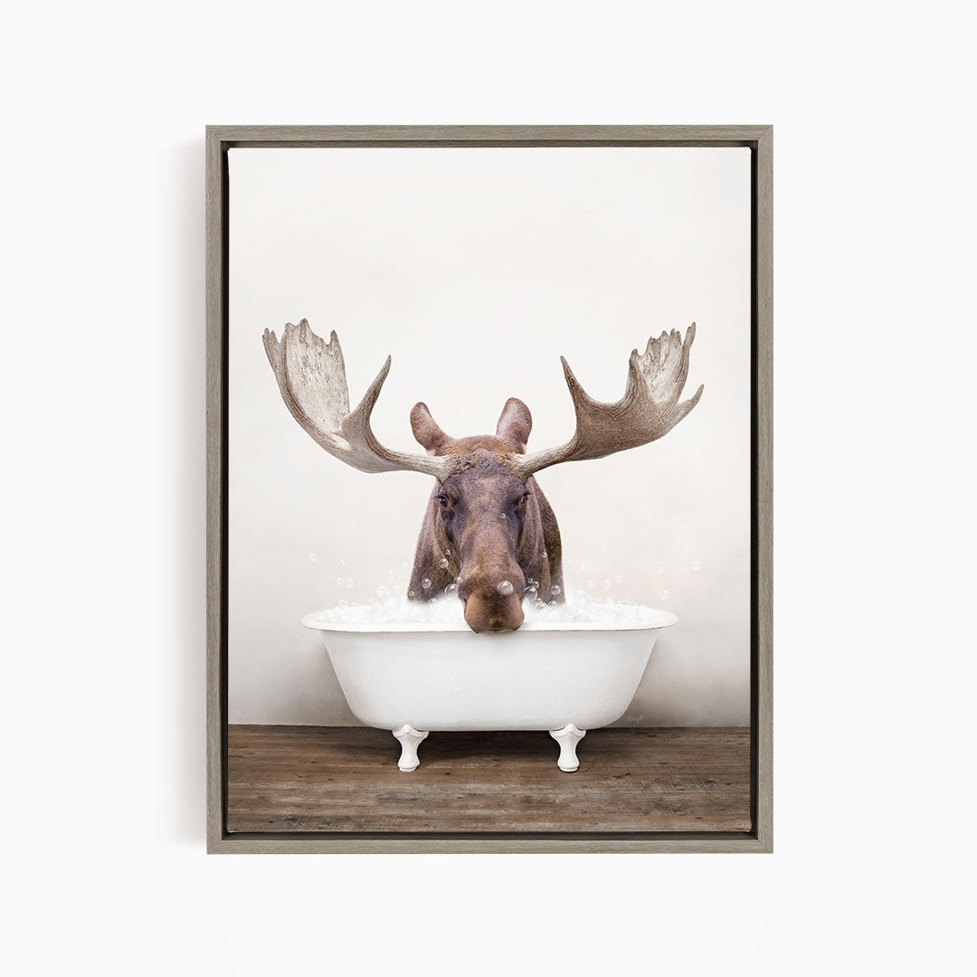 A moose with large antlers is sitting in a white bathtub, appearing to enjoy the bath.
