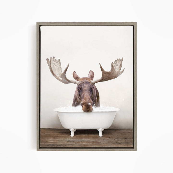 A moose with large antlers is sitting in a white bathtub, appearing to enjoy the bath.