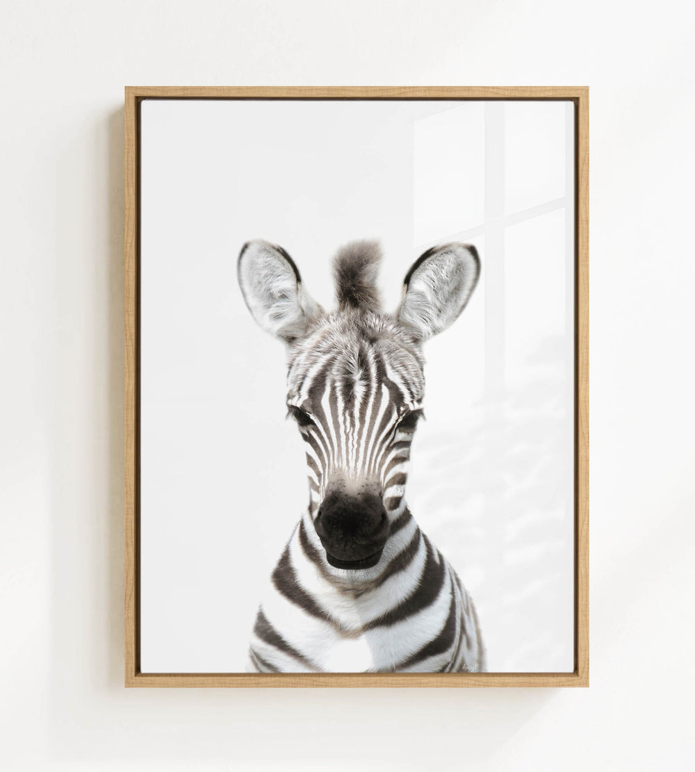 A framed photograph of a zebra's head, with its distinctive black and white striped pattern clearly visible.