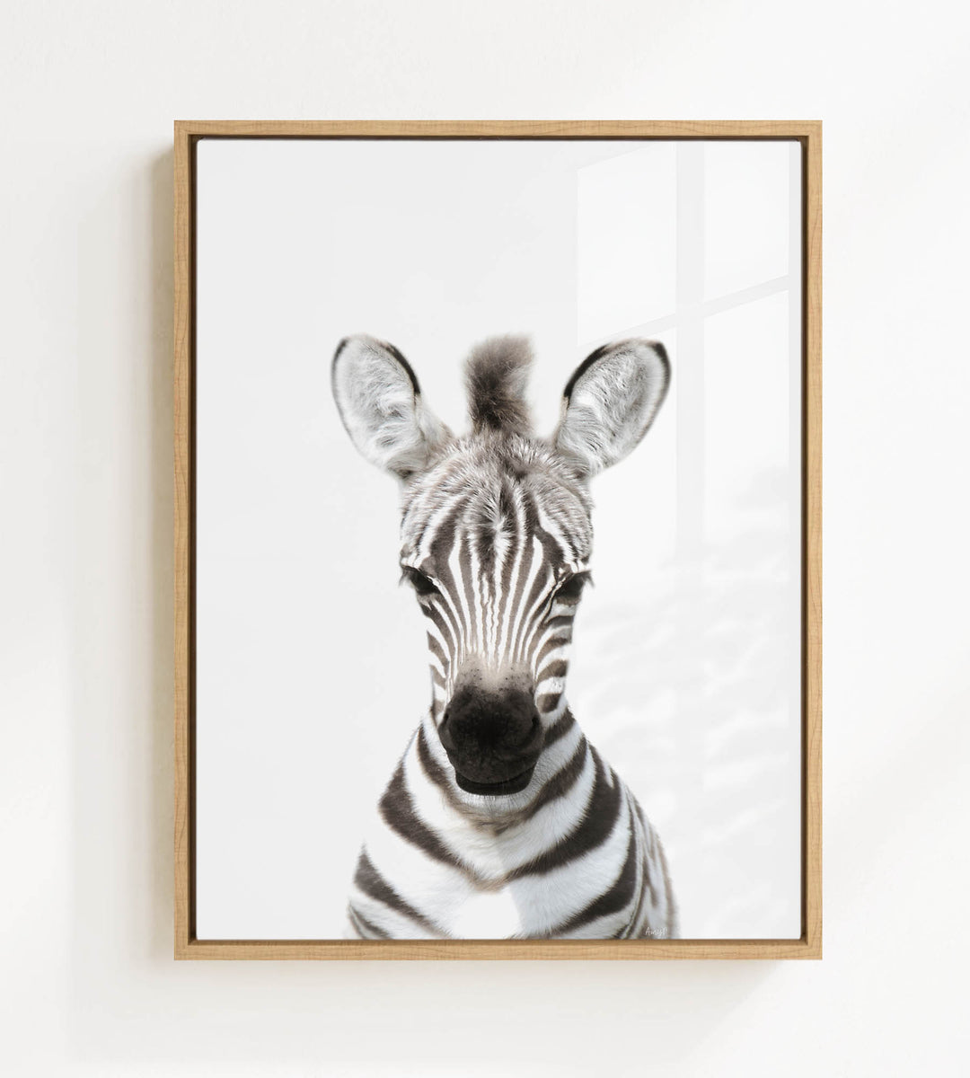 A framed photograph of a zebra's head, with its distinctive black and white striped pattern clearly visible.