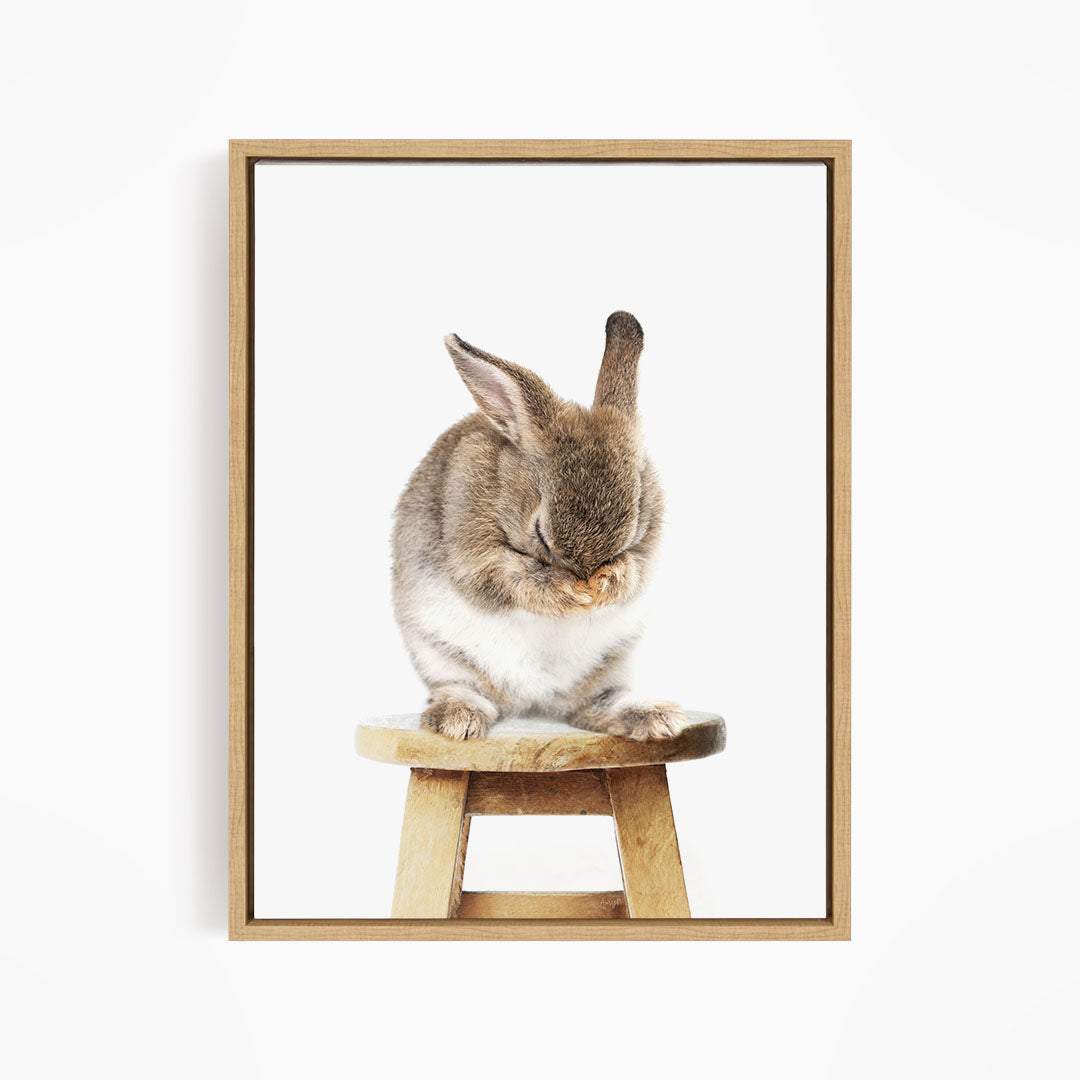 A cute brown rabbit sitting on a wooden stool, with its head resting on its paws.