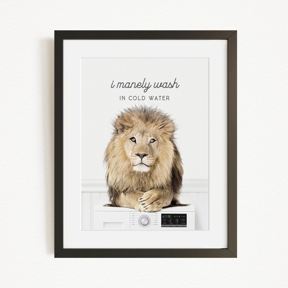 A framed image of a lion sitting on a washing machine, with the text "I manly wash in cold water" above the lion.