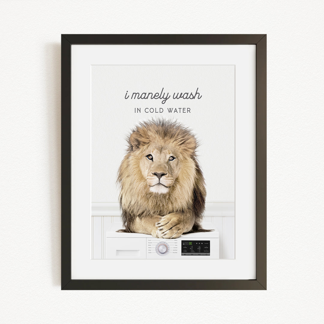 A framed image of a lion sitting on a washing machine, with the text "I manly wash in cold water" above the lion.