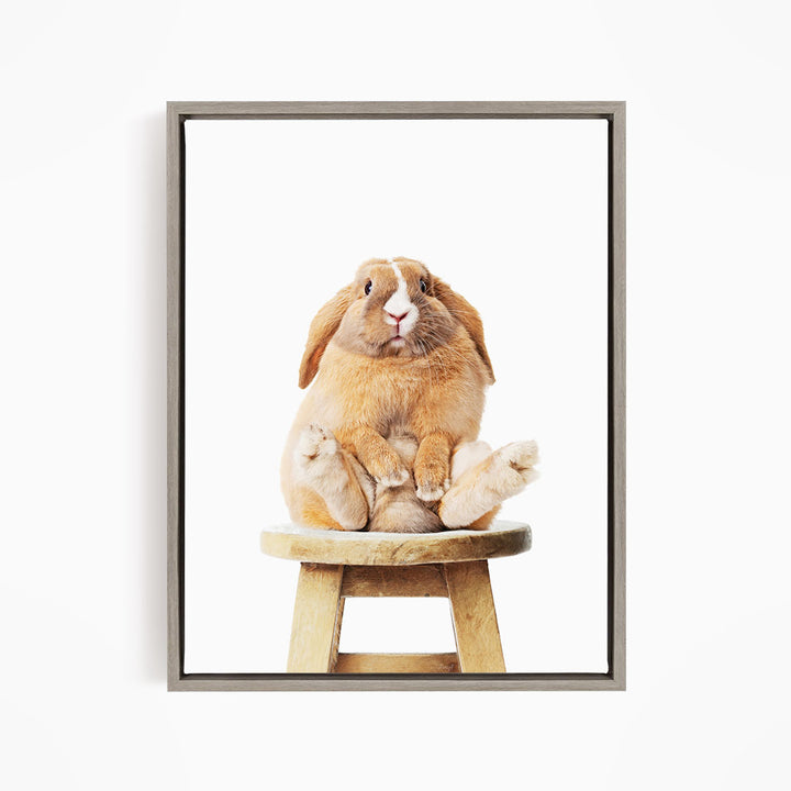 A brown rabbit sitting on a wooden stool against a white background.