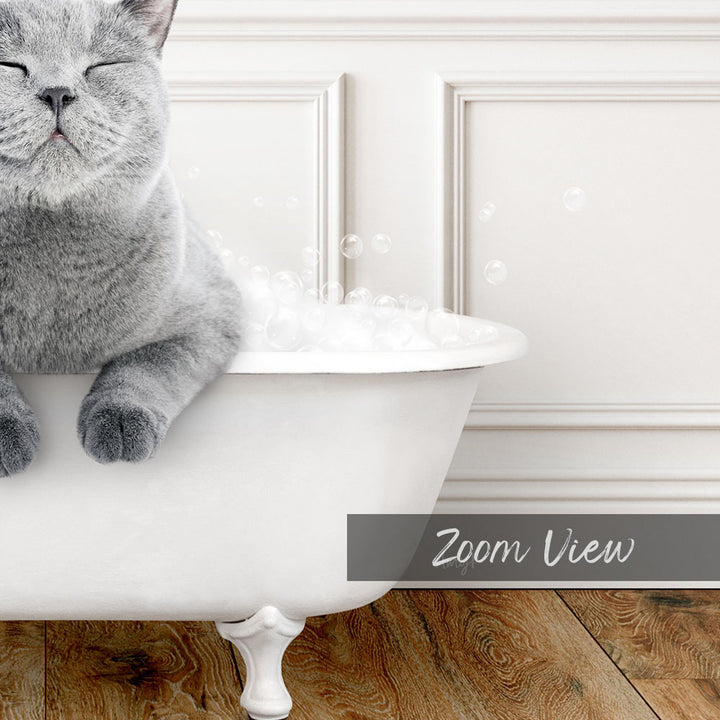 A gray cat sitting in a white bathtub filled with bubbles, with the text "Zoom View" below the image.
