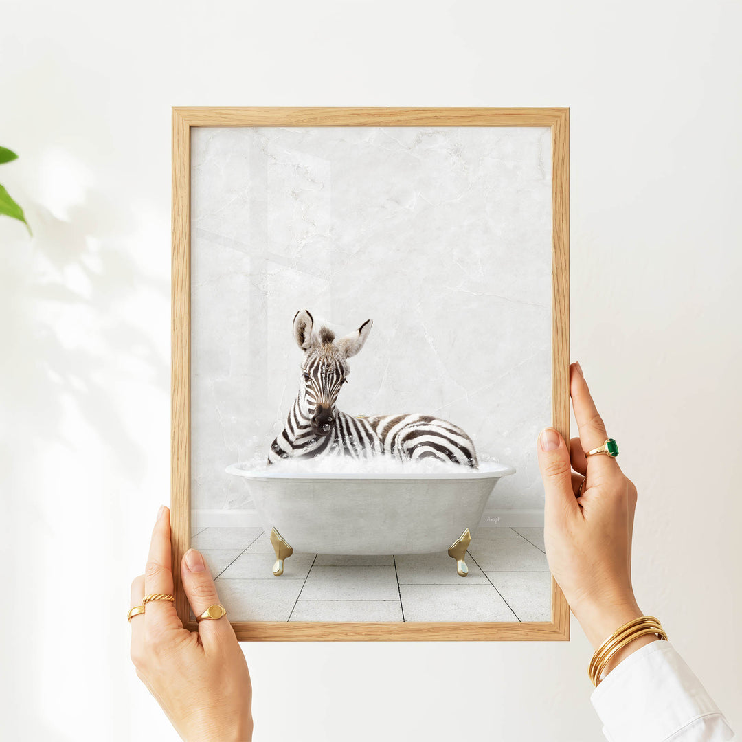 A person's hands are holding a framed picture of a zebra sitting in a bathtub.
