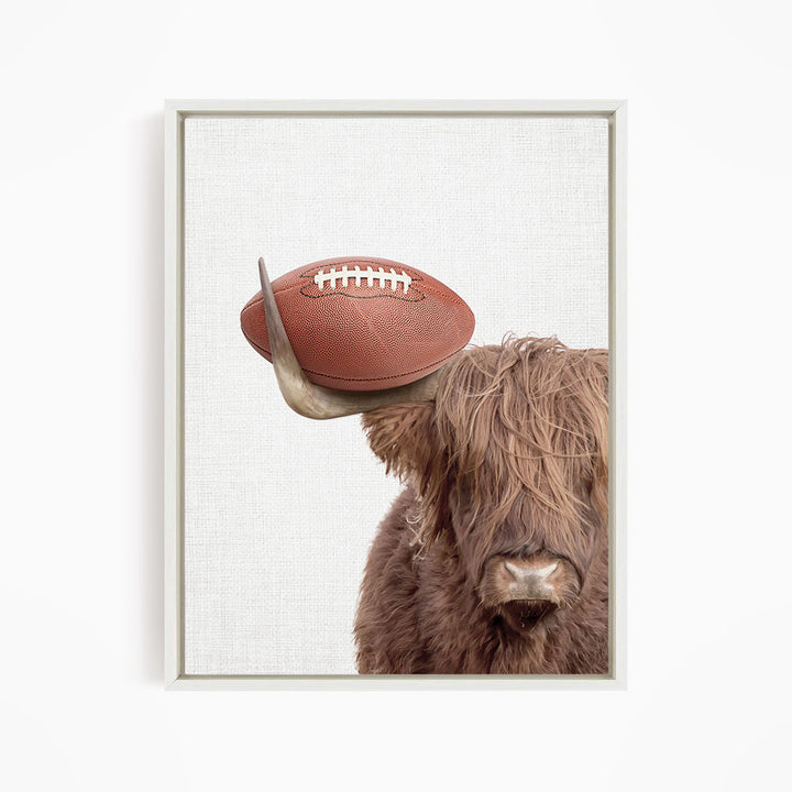 A brown cow with shaggy hair is holding a football in its head, creating a playful and whimsical scene.