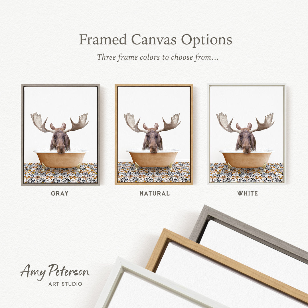 three framed canvas options featuring a moose in a bowl, with each option having a different frame color: gray, natural, and white.