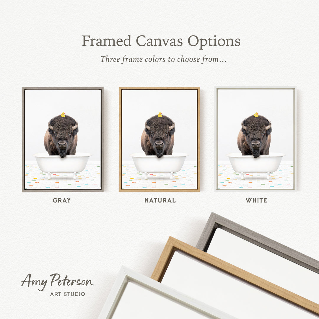 three framed canvas options, each featuring a bison in a bathtub. The options include a gray frame, a natural frame, and a white frame.