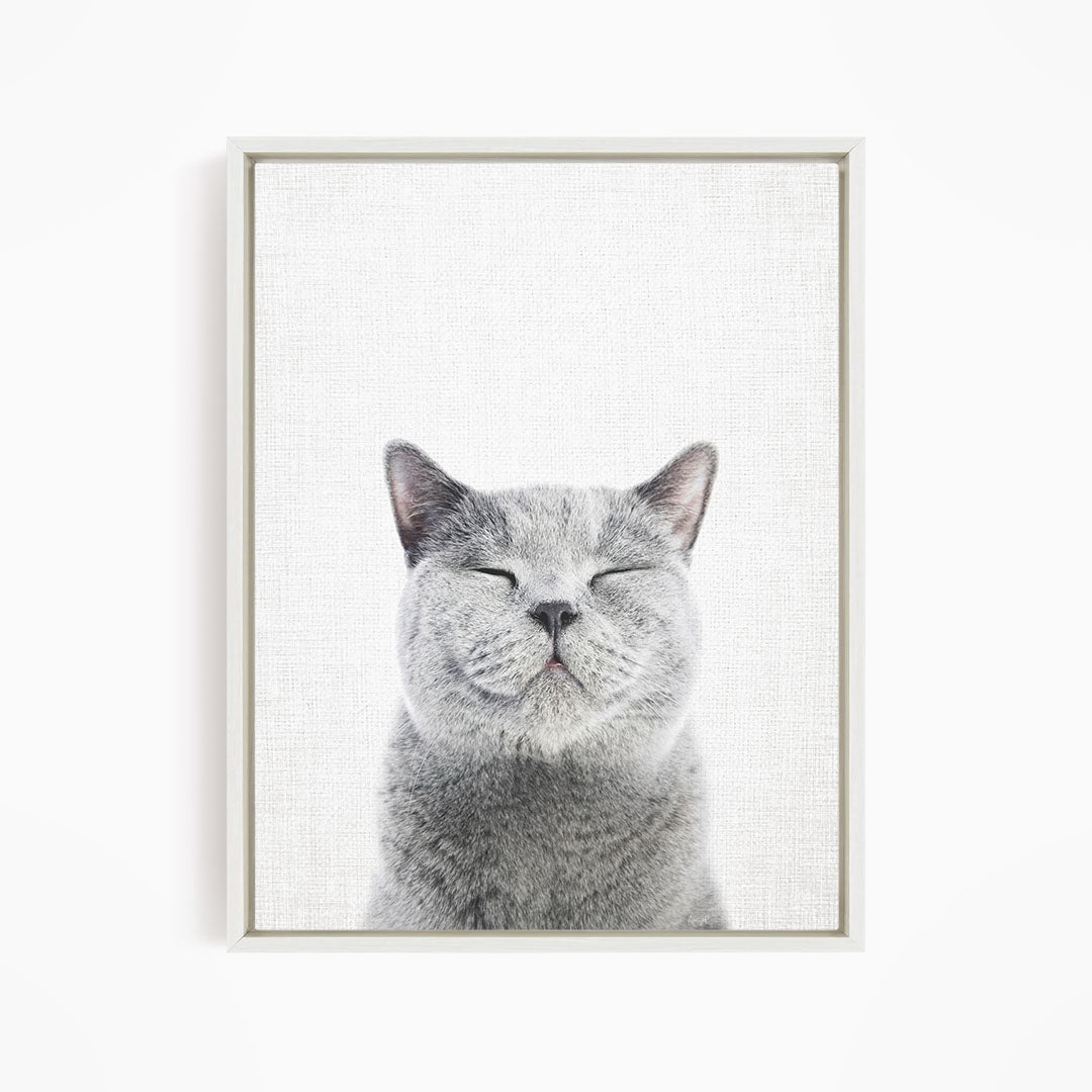 A gray cat with closed eyes and a content expression is the main subject of the framed image.