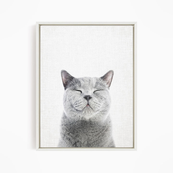 A gray cat with closed eyes and a content expression is the main subject of the framed image.
