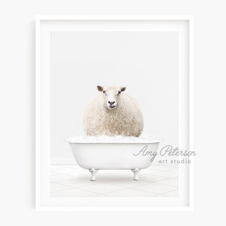 a sheep sitting in a bathtub with a white background