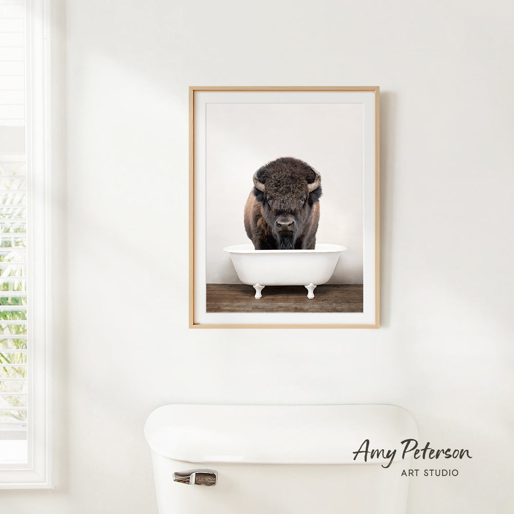 A framed photograph of a bison standing in a white bathtub is hanging on a white wall.