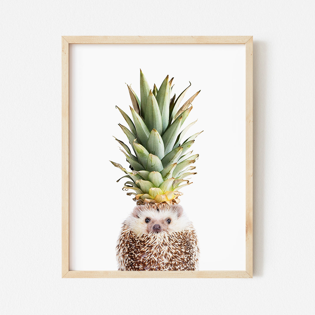 a picture of a hedgehog with a pineapple on its head