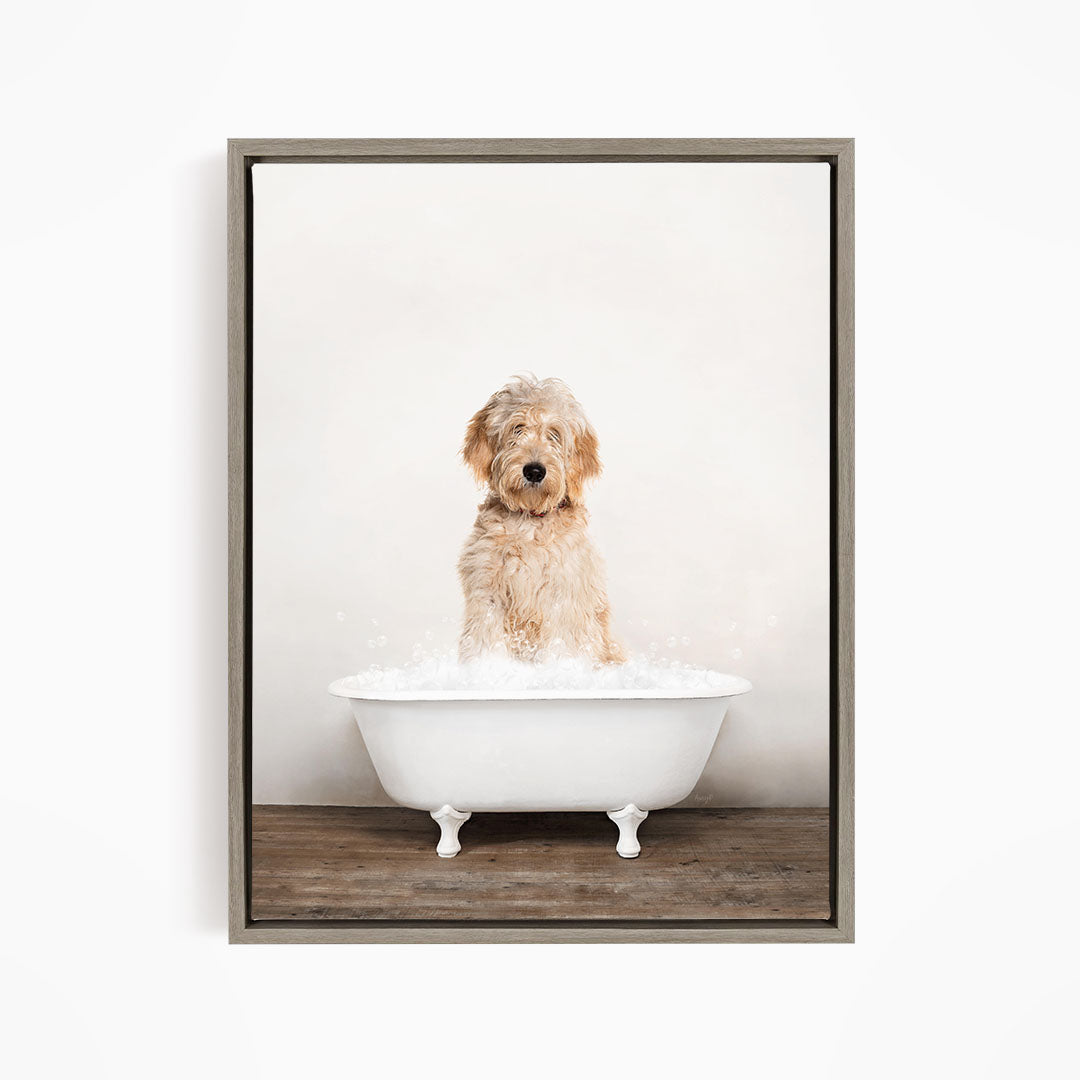 A fluffy golden retriever dog sitting in a white bathtub filled with water, looking directly at the camera.