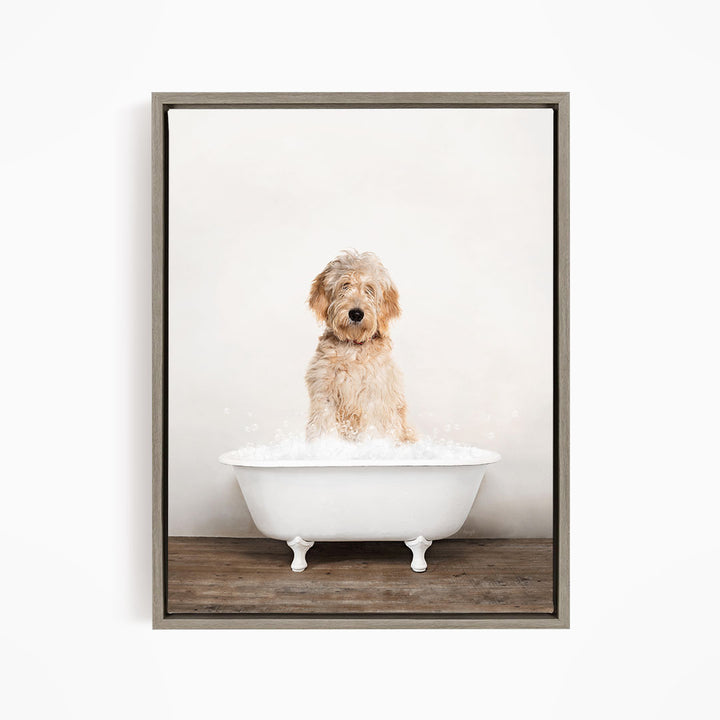 A fluffy golden retriever dog sitting in a white bathtub filled with water, looking directly at the camera.