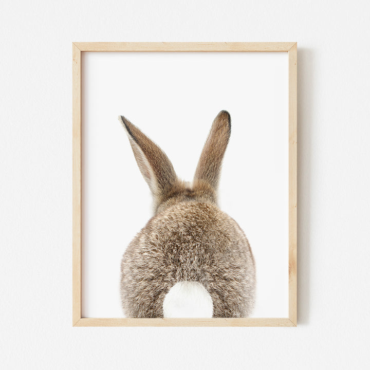 a framed picture of a rabbit's head