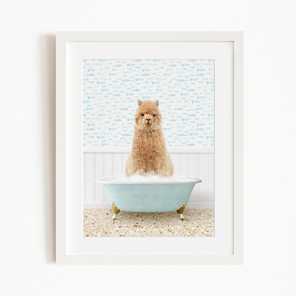 A fluffy brown dog sitting in a light blue bathtub filled with bubbles, with a patterned wall behind it.