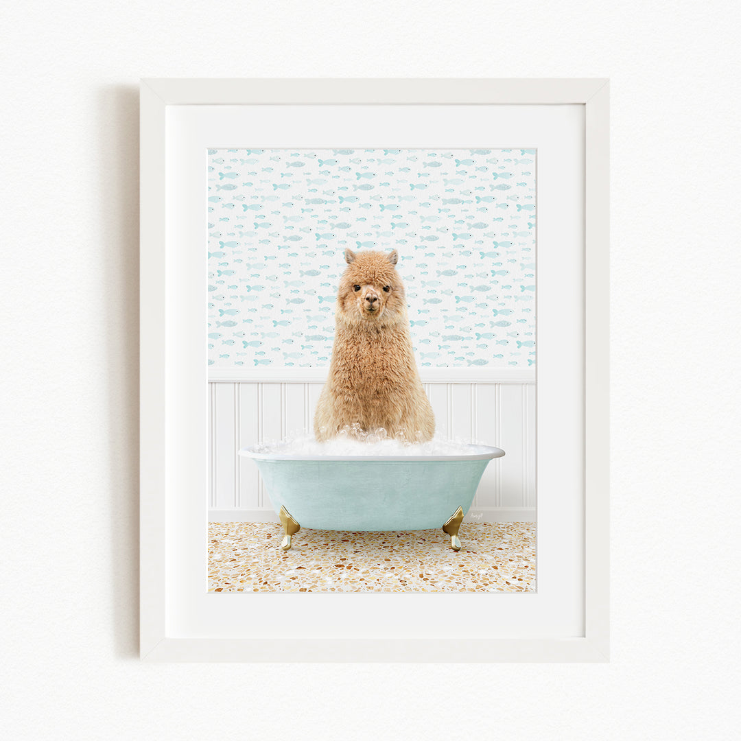 A fluffy brown dog sitting in a light blue bathtub filled with bubbles, with a patterned wall behind it.