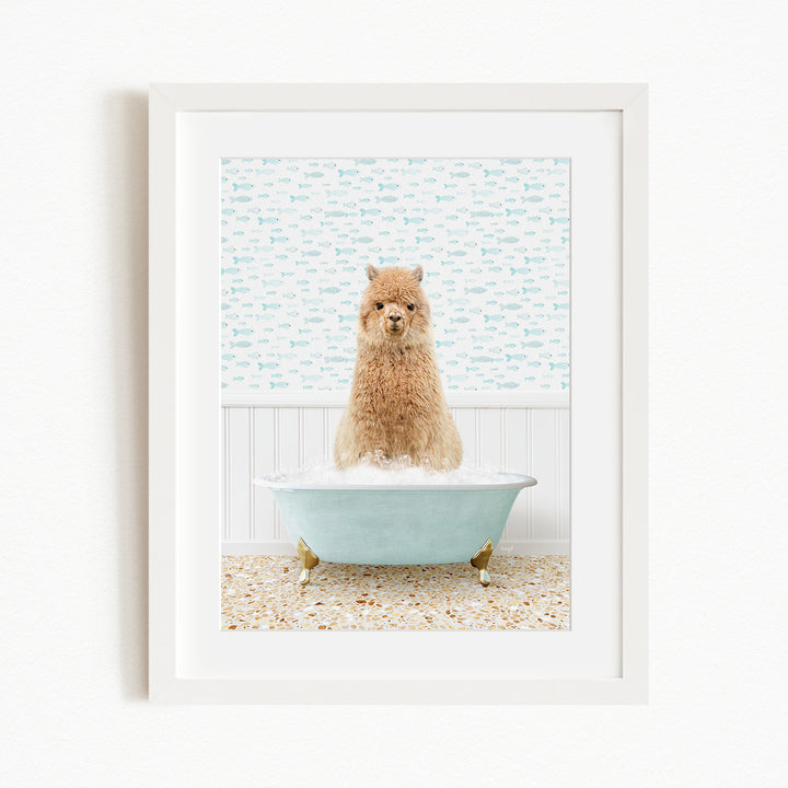 A fluffy brown dog sitting in a light blue bathtub filled with bubbles, with a patterned wall behind it.