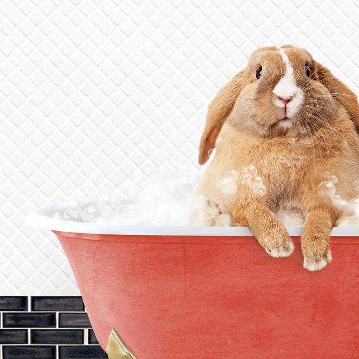 a rabbit sitting in a bathtub full of foam