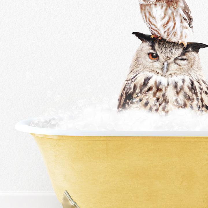 an owl sitting on top of a bath tub