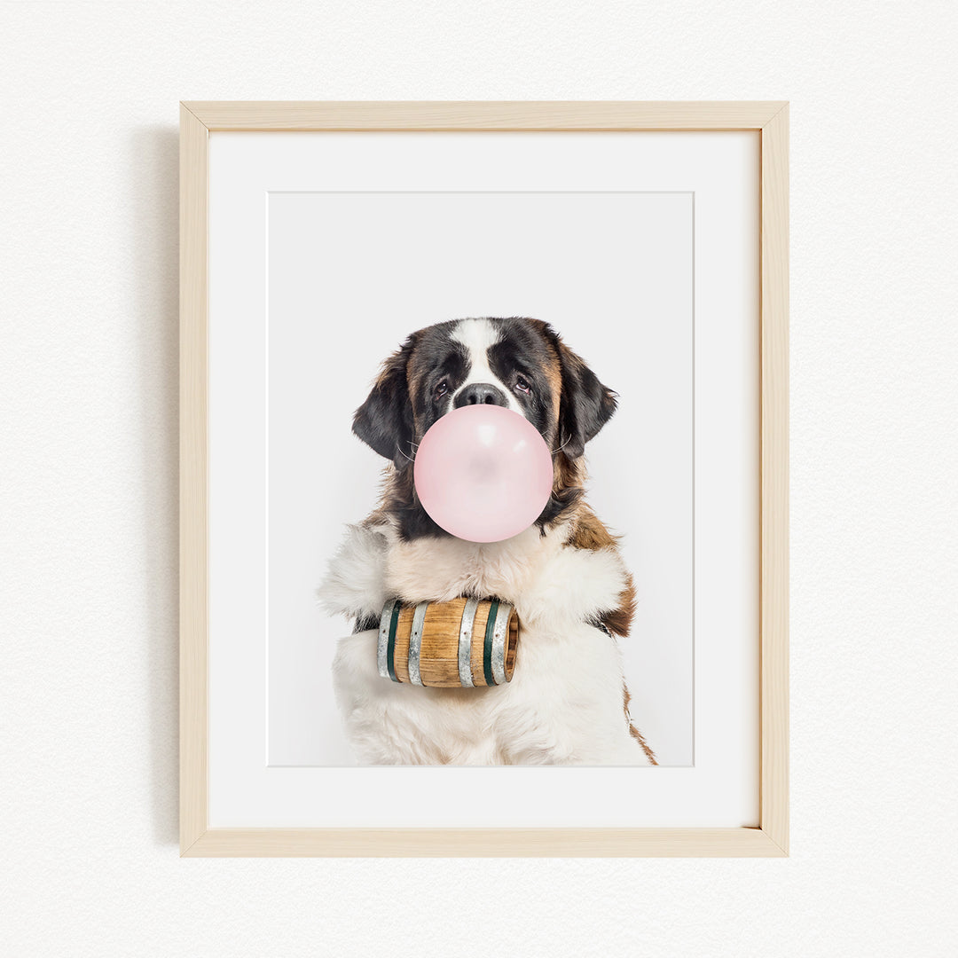 A Saint Bernard dog is blowing a bubble with a pink bubble gum bubble wand, wearing a wooden barrel around its neck.