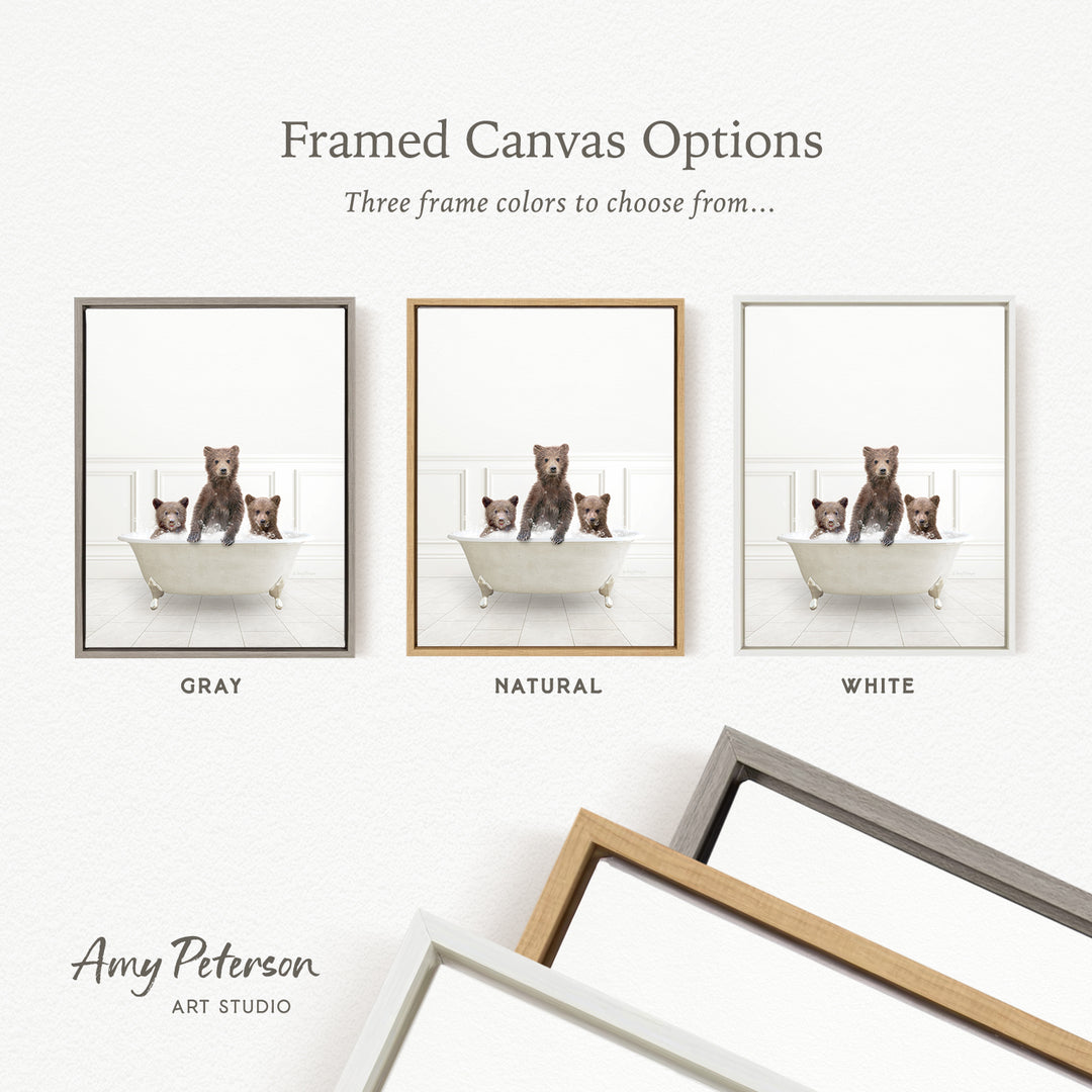 three framed canvas options, each featuring a photograph of a bear sitting in a bathtub. The options include a gray frame, a natural frame, and a white frame. The text above the images reads " Framed Canvas Options" and "Three frame colors to choose from...".
