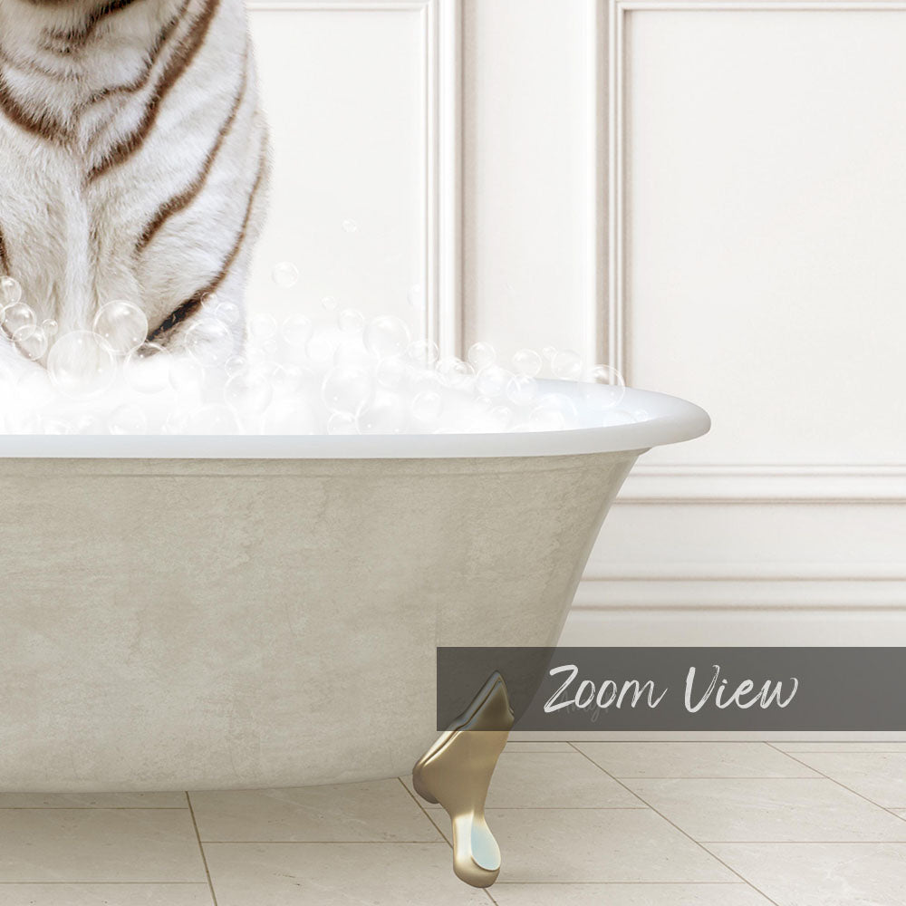 A white cat standing in a bathtub filled with bubbles, with the text "Zoom View" displayed below the image.