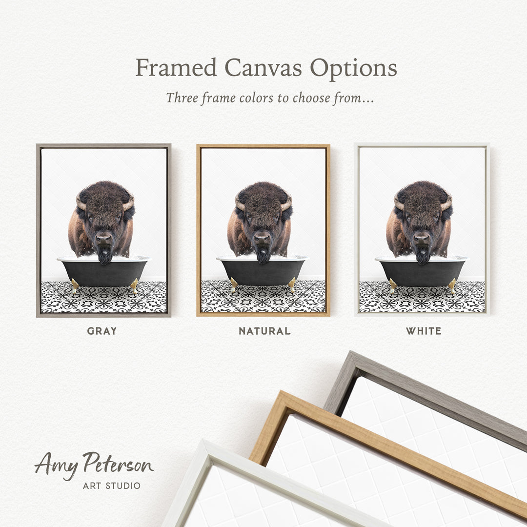 three framed canvas options, each featuring a different color: gray, natural, and white. The text above the images reads " Framed Canvas Options" and "Three frame colors to choose from...". The bottom of the image includes the text " Amy Peterson ART STUDIO".