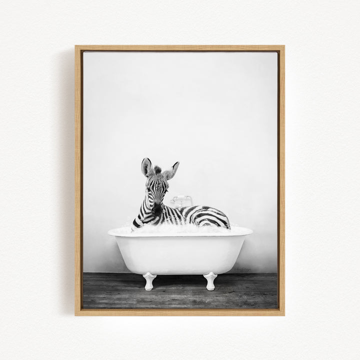 A zebra lying in a white bathtub, appearing relaxed and content.