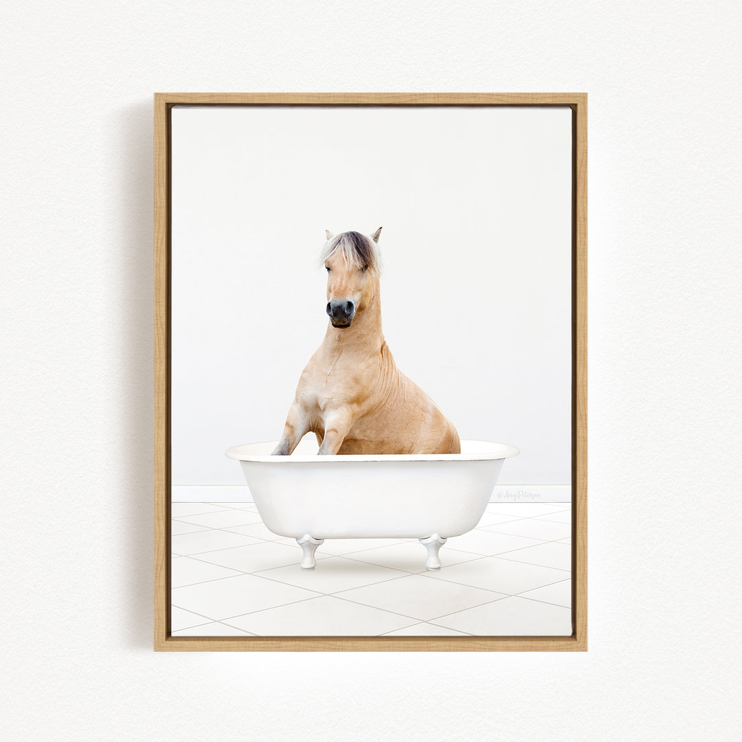 A light brown horse sitting in a white bathtub against a white background.