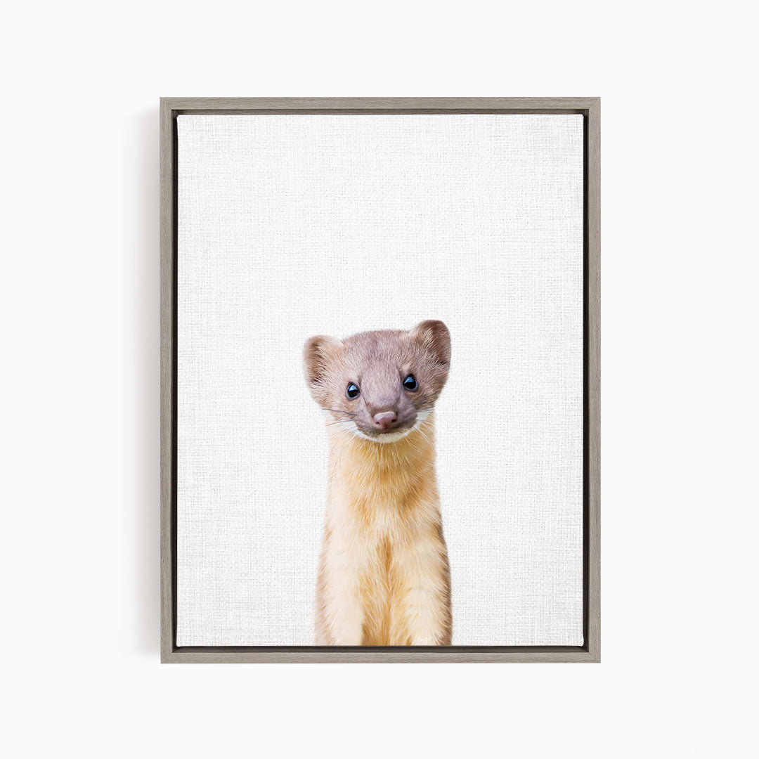 A cute beige and gray ferret peeking out from behind a white background.