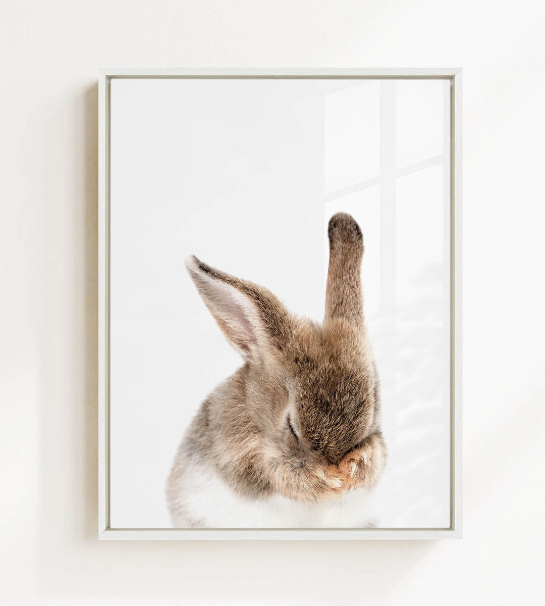 A cute, fluffy rabbit with its head resting on its paws, captured in a framed photograph.