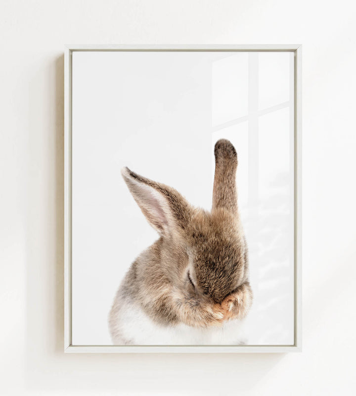 A cute, fluffy rabbit with its head resting on its paws, captured in a framed photograph.