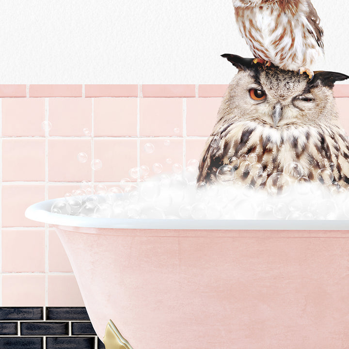 an owl sitting on top of a bathtub filled with bubbles