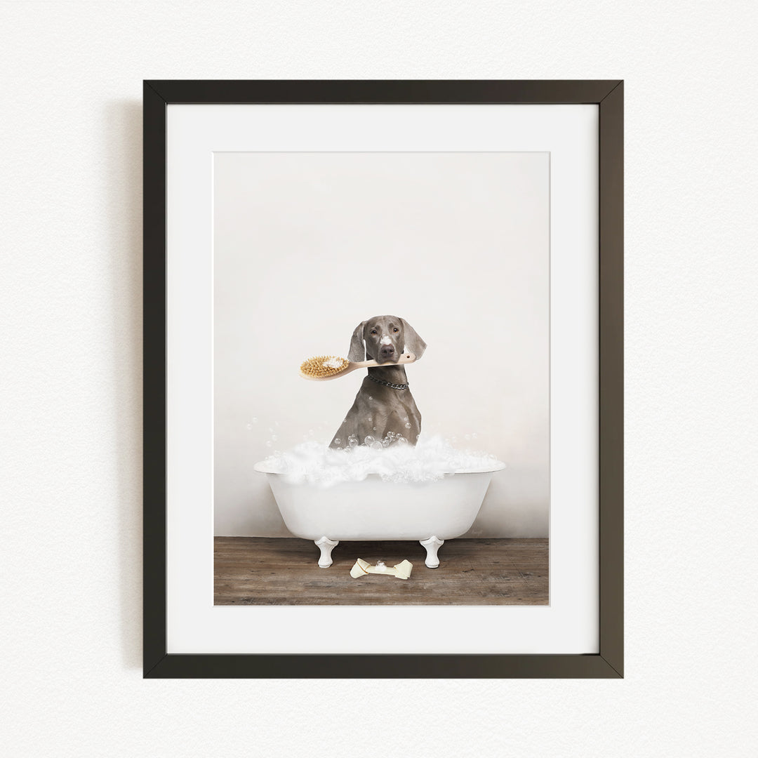 A dog sitting in a bathtub, holding a brush in its mouth, with a white bathtub and a wooden floor visible in the background.