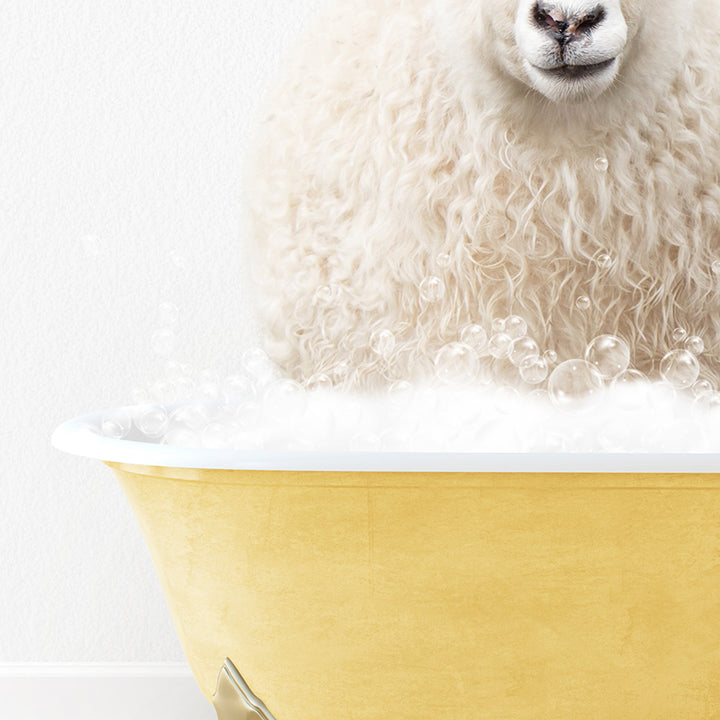 a sheep is sitting in a bathtub with bubbles